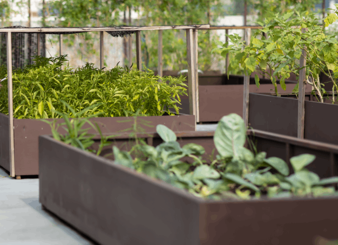 Mini Terrace Garden